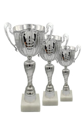 CTS 214 | SET de 3 Cupe Sportive - TrophyShop